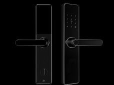 青松沃德-Wi-Fi 指紋鎖家用防盜門智能門鎖密碼鎖刷卡電子鎖 防磁干擾 防撬 L9-WT (不含鎖體，鎖體需另購(gòu)）
